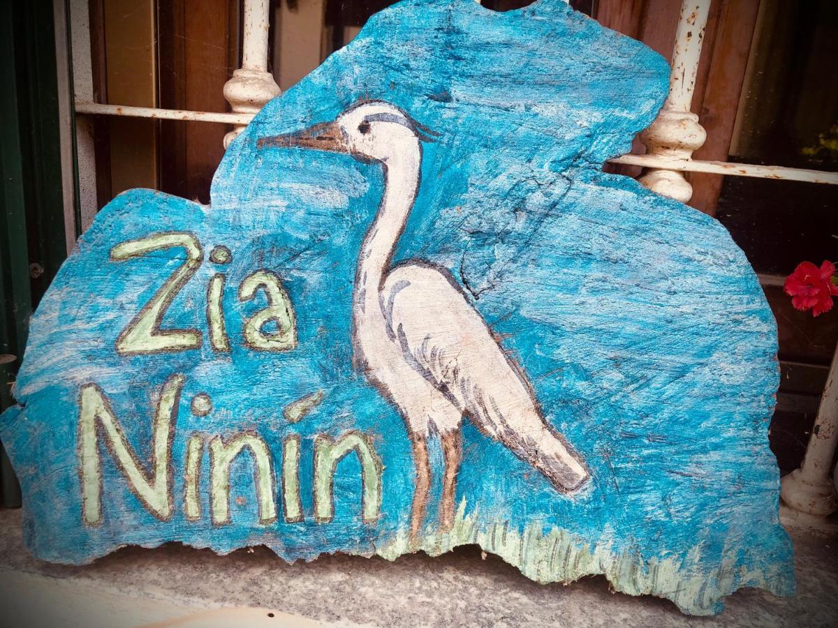 Appartamento Zia Ninin - La Gioia Di Un Tempo! Pavia Buitenkant foto